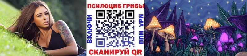 Псилоцибиновые грибы MAGIC MUSHROOMS  Купить закладки  Качканар 